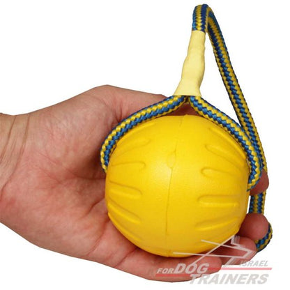 כדור ספוג לאימונים ומשחקים עם הכלב 9 ס"מ - גדול - FOR DOG TRAINERS- ISRAEL