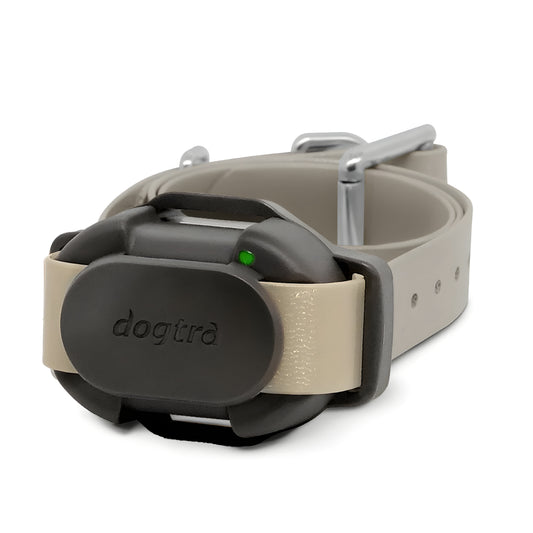 קולר מקורי חלופי- דוגטרה Dogtra IQ Flex / CUE