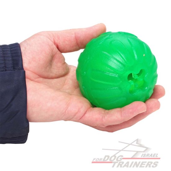 כדור לעיסה דיספנסר חטיפים לגזעי כלבים בינוניים - FOR DOG TRAINERS- ISRAEL