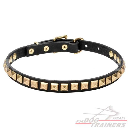 עיצוב חדש! קולר לכלב מעור עם קישוט אופנתיות - FOR DOG TRAINERS- ISRAEL