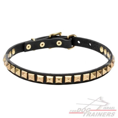 עיצוב חדש! קולר לכלב מעור עם קישוט אופנתיות - FOR DOG TRAINERS- ISRAEL