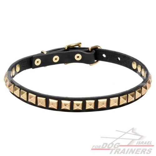 עיצוב חדש! קולר לכלב מעור עם קישוט אופנתיות - FOR DOG TRAINERS- ISRAEL