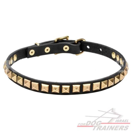 עיצוב חדש! קולר לכלב מעור עם קישוט אופנתיות - FOR DOG TRAINERS- ISRAEL