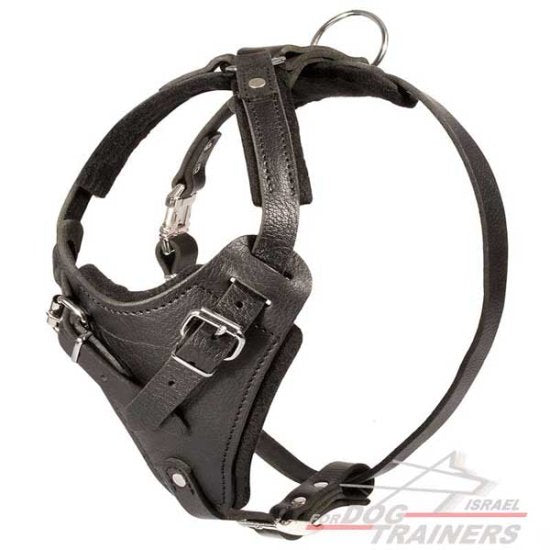 רתמת עור לכלב מתאימה לכלבים בינוניים / גדולים | לאימוני תקיפה ולטיולים - FOR DOG TRAINERS- ISRAEL
