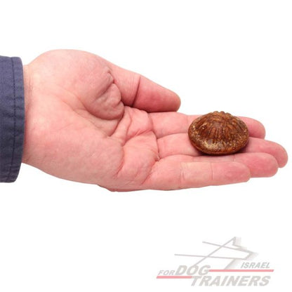 חטיפים בריאים וטעימים לכלב בטעם עוף - גודל קטן - FOR DOG TRAINERS- ISRAEL