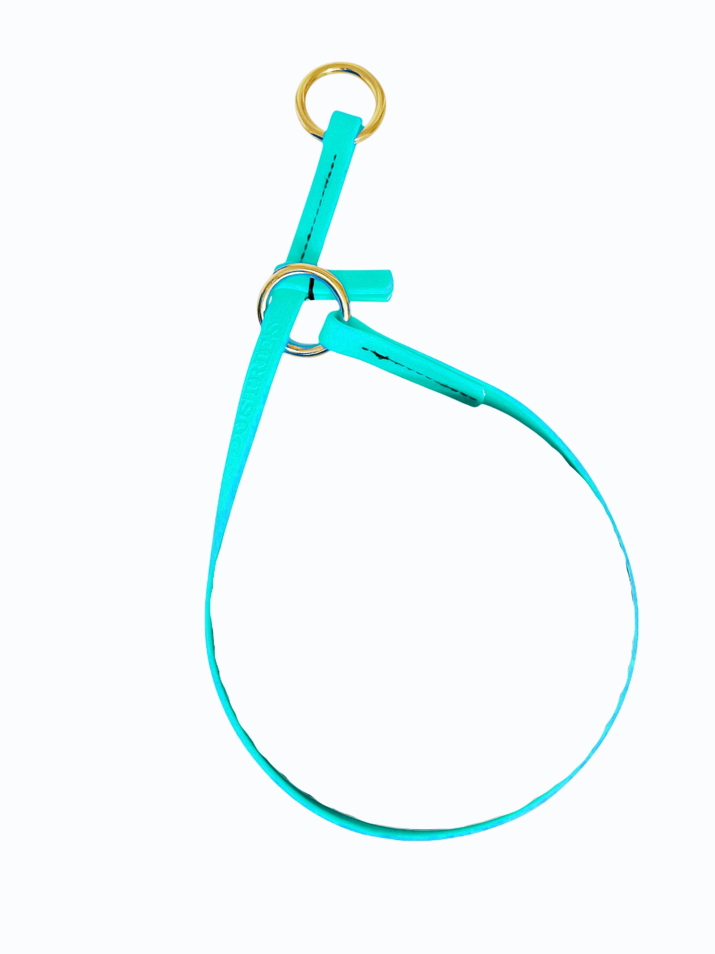 קולר לאסו/ קולר סליפ  לכלב עשוי מביאוטן דק במיוחד 10 מ"מ- טורקיז - FOR DOG TRAINERS- ISRAEL