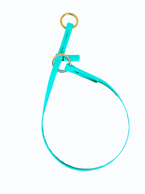 קולר לאסו/ קולר סליפ  לכלב עשוי מביאוטן דק במיוחד 10 מ"מ- טורקיז - FOR DOG TRAINERS- ISRAEL