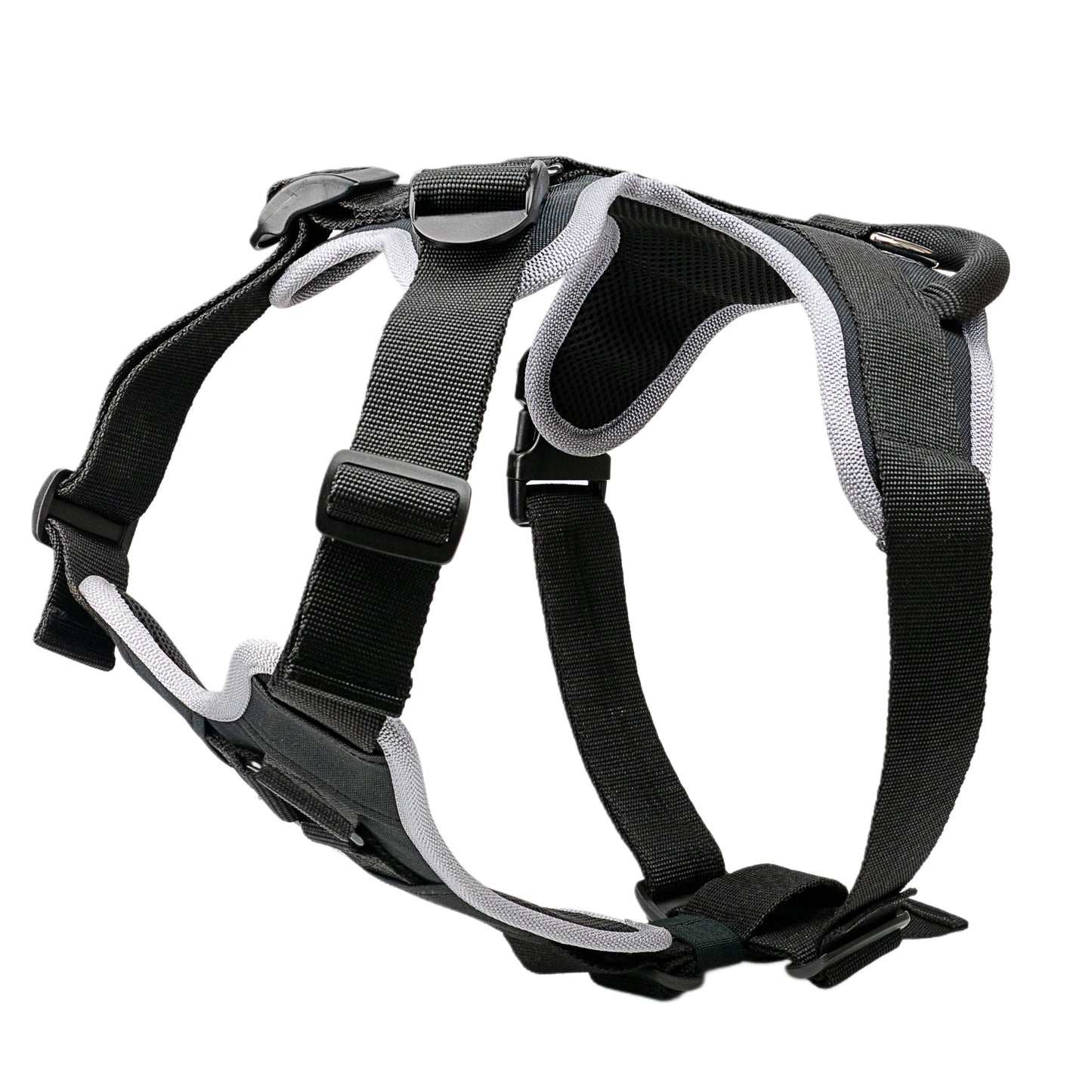 העיצוב החדש! רתמה לכלבים בינונים וגדולים ליום יום ולאימונים