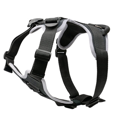 העיצוב החדש! רתמה לכלבים בינונים וגדולים ליום יום ולאימונים