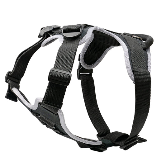 העיצוב החדש! רתמה לכלבים בינונים וגדולים ליום יום ולאימונים