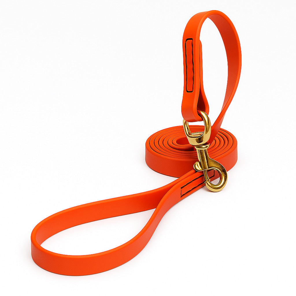 רצועה לכלב עשויה מביאוטן- איכותית ועמידה במיוחד כתום