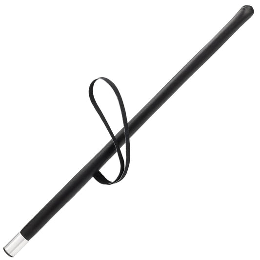 ציוד התססה - מקל הרגזה לאילוף כלבים - FOR DOG TRAINERS- ISRAEL