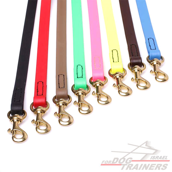 בנה את הרצועה שלך! רצועת ביאוטן בהתאמה אישית - FOR DOG TRAINERS- ISRAEL
