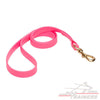 רצועה לכלב עשויה מביאוטן - בצבע ורוד יפייפה - FOR DOG TRAINERS- ISRAEL
