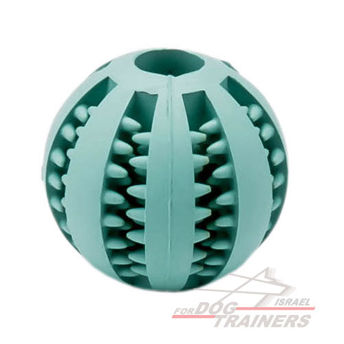 כדור לכלב להיגיינת פה טובה יותר 5 ס"מ - קטן - FOR DOG TRAINERS- ISRAEL