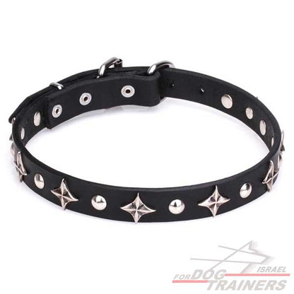 חדש! קולר לכלב מעור בעיצוב בלעדי - FOR DOG TRAINERS- ISRAEL