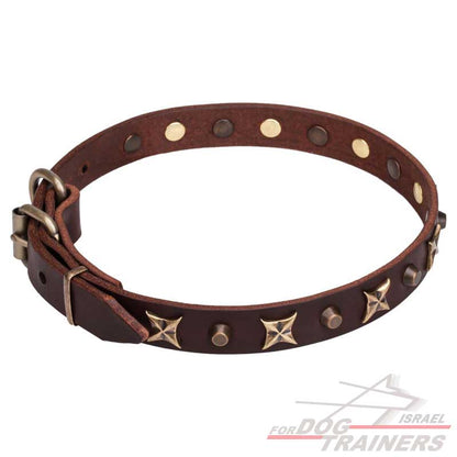 חדש! קולר לכלב מעור בעיצוב מיוחד - FOR DOG TRAINERS- ISRAEL