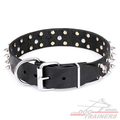 חדש! קולר לכלב מעור דקורטיבי - FOR DOG TRAINERS- ISRAEL