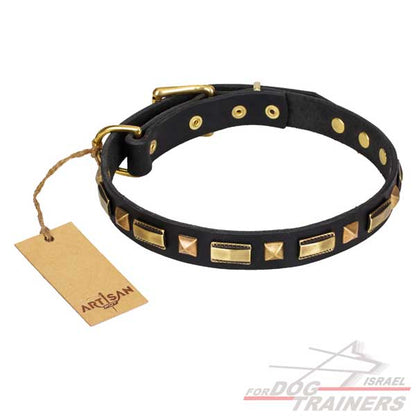 חדש! קולר לכלב מעור מעוצב - FOR DOG TRAINERS- ISRAEL