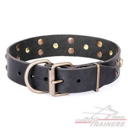 חדש! קולר לכלב מעור דקורטיבי - FOR DOG TRAINERS- ISRAEL