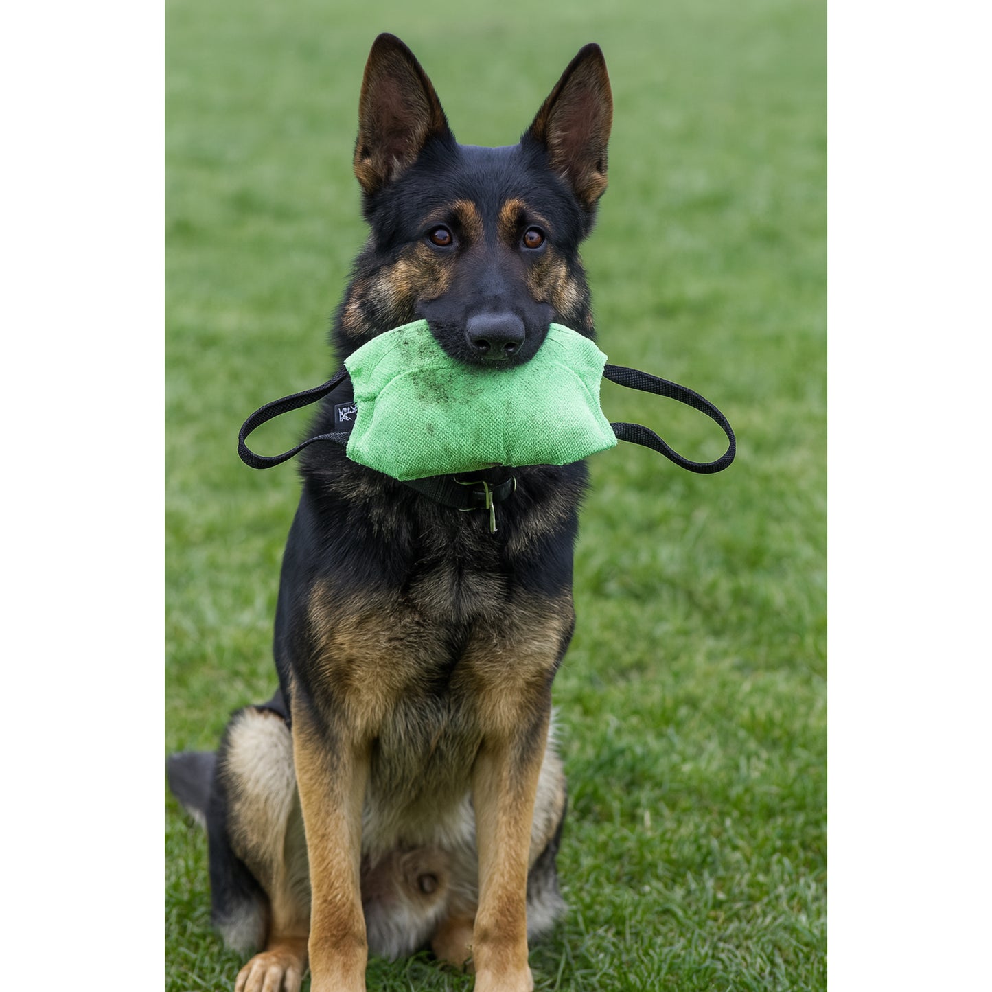 כרית נשיכה מקצועית לכלב למשחק ולאילוף לבניית נשיכה נכונה עשויה מבד פשתן צרפתי