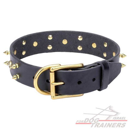 חדש! קולר לכלב מעור כמו בסרטים - FOR DOG TRAINERS- ISRAEL