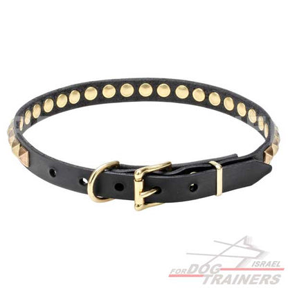 עיצוב חדש! קולר לכלב מעור עם קישוט אופנתיות - FOR DOG TRAINERS- ISRAEL