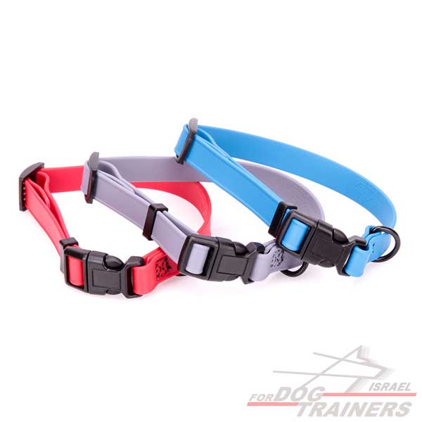 קולר מתכונן לכלב מביאוטן כחול- מתאים לגורים לגזעים קטנים- 1 ס"מ רוחב - FOR DOG TRAINERS- ISRAEL