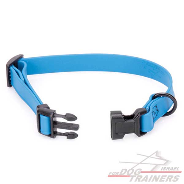 קולר מתכונן לכלב מביאוטן כחול- מתאים לגורים לגזעים קטנים- 1 ס"מ רוחב - FOR DOG TRAINERS- ISRAEL