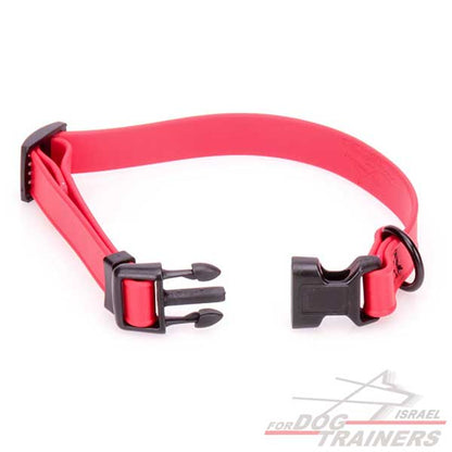 קולר מתכונן לכלב מביאוטן אדום- מתאים לגורים לגזעים קטנים- 1 ס"מ רוחב - FOR DOG TRAINERS- ISRAEL
