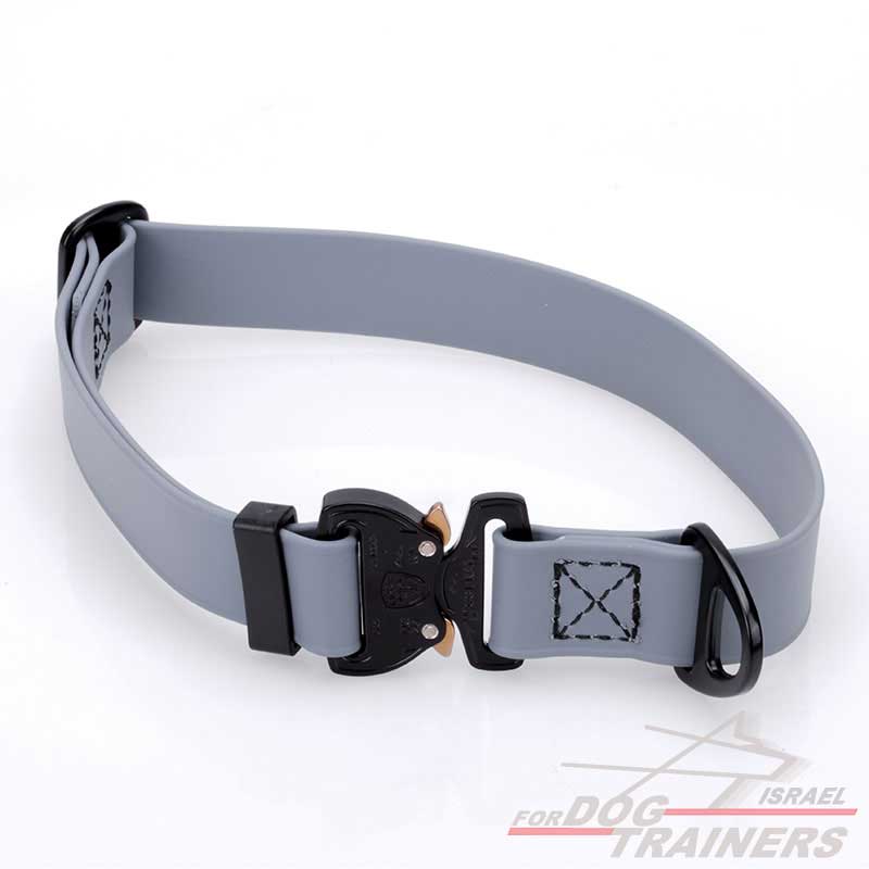 קולר מתכונן לכלב מביאוטן- בצבע אפור+ נעילת קוברה מקורית - FOR DOG TRAINERS- ISRAEL