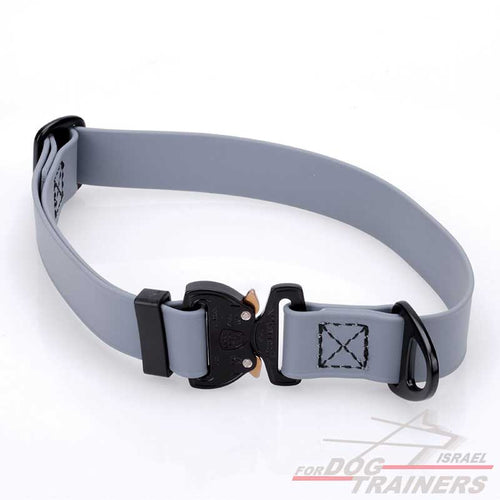 קולר מתכונן לכלב מביאוטן- בצבע אפור+ נעילת קוברה מקורית - FOR DOG TRAINERS- ISRAEL