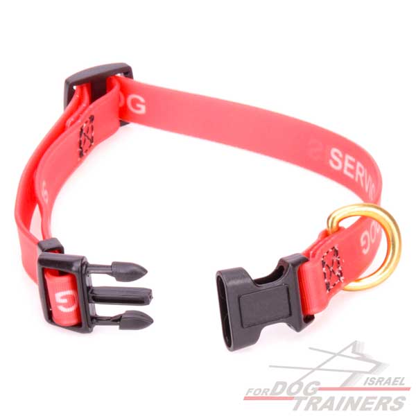 קולר מתכונן לכלב מביאוטן-כלב שירות- באיכות מעולה 2 ס"מ רוחב - FOR DOG TRAINERS- ISRAEL