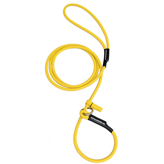 רצועת לאסו/ רצועת סליפ ליש לכלב עשויה מביאוטן עגול- עם קולר חנק מובנה 6 מ"מ- צהוב