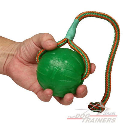כדור עשוי מגומי מיוחד לכלב - FOR DOG TRAINERS- ISRAEL