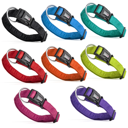 קולר לכלב עשוי מייקרופייבר רך ואיכותי- נעילה עם אבזם - FOR DOG TRAINERS- ISRAEL