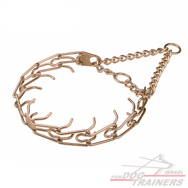 קולר דוקרנים עשוי קורגן- לכלבים גדולים - FOR DOG TRAINERS- ISRAEL