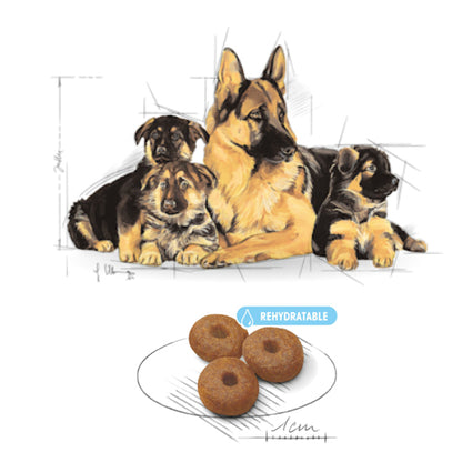 Royal Canin רויאל קנין מקסי סטרטר לגורים מגזע גדול 15 ק"ג