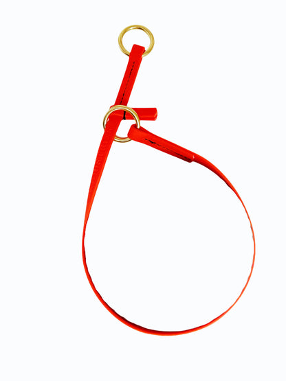 קולר לאסו/ קולר סליפ  לכלב עשוי מביאוטן דק במיוחד 10 מ"מ- כתום - FOR DOG TRAINERS- ISRAEL