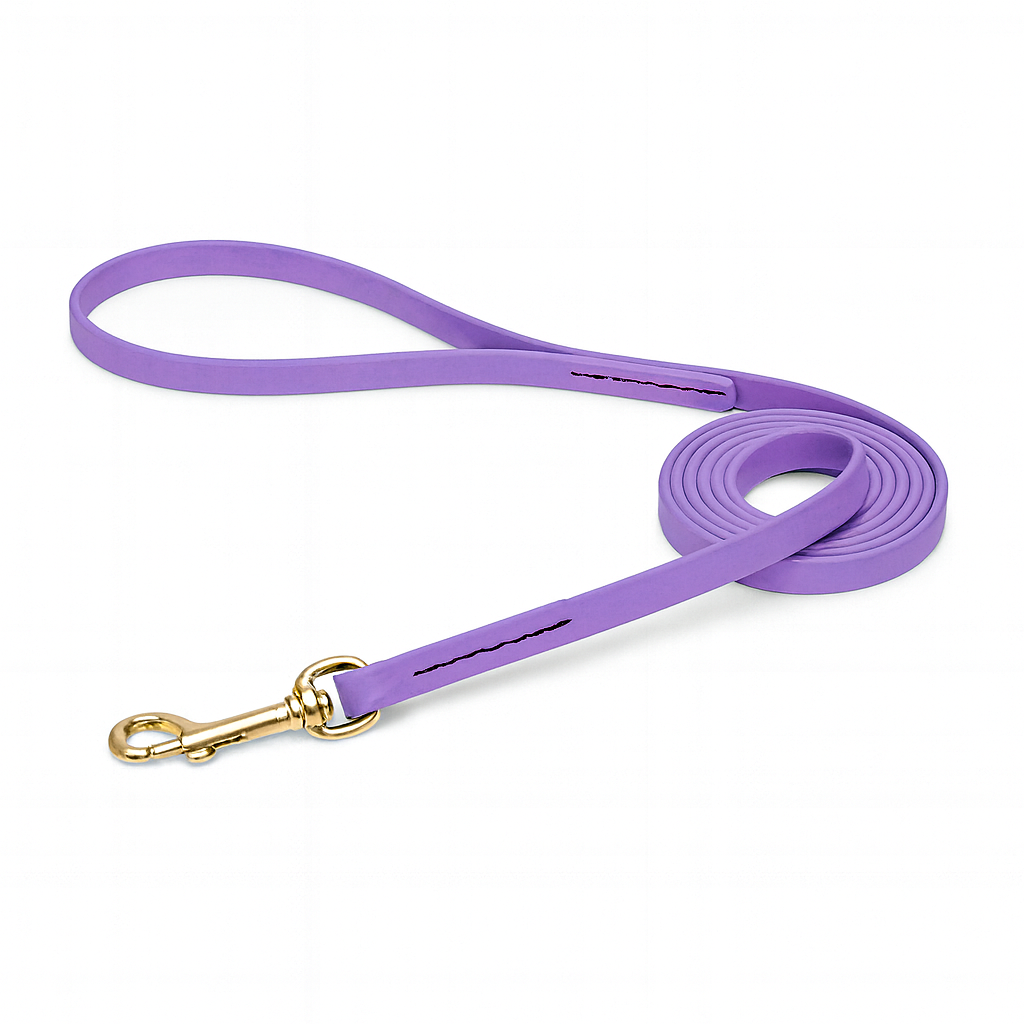 רצועה לכלב עשויה מביאוטן דק 13 מ"מ- איכותית ועמידה במיוחד