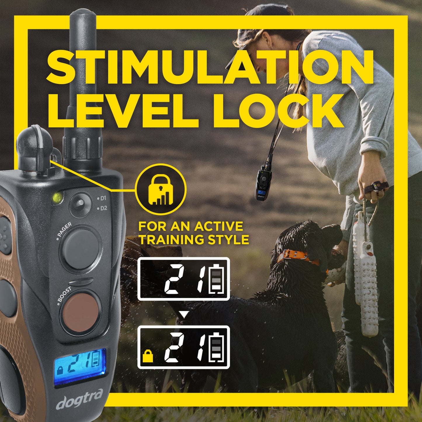 דוגטרה קולר אלקטרוני- קולר אילוף חשמלי  Dogtra Arc 800 FREE PLUS - FOR DOG TRAINERS- ISRAEL