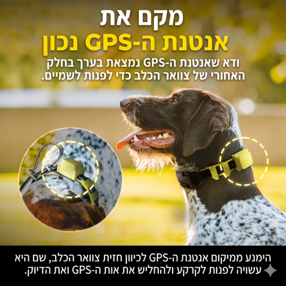 Dogtra GPS Fence - קולר עמיד במים IPX9K לגידור וירטואלי - דוגטרה ישראל