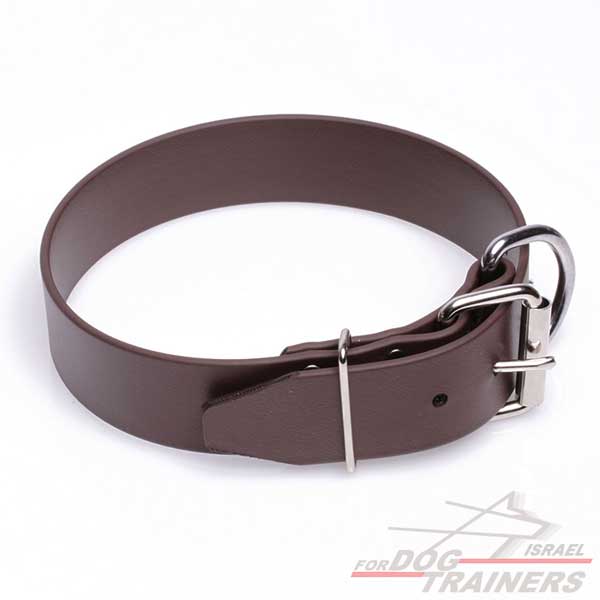 קולר לכלב מביאוטן- לשימוש יומיומי - FOR DOG TRAINERS- ISRAEL