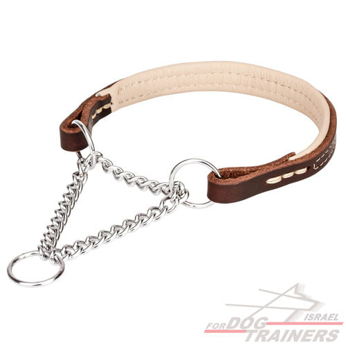 קולר חצי חנק משולב עור - FOR DOG TRAINERS- ISRAEL