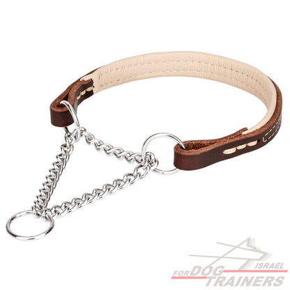 קולר חצי חנק משולב עור - FOR DOG TRAINERS- ISRAEL