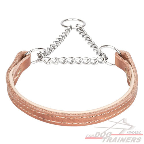 קולר חצי חנק משולב עור - FOR DOG TRAINERS- ISRAEL