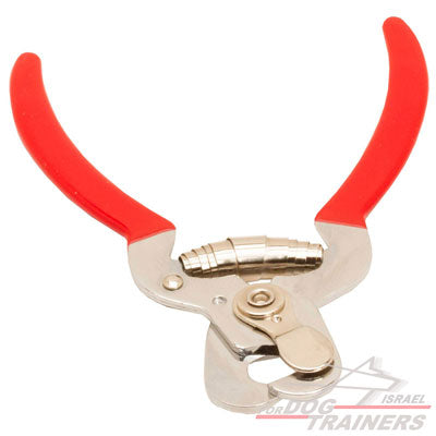 קוצץ ציפורניים לכלב - FOR DOG TRAINERS- ISRAEL