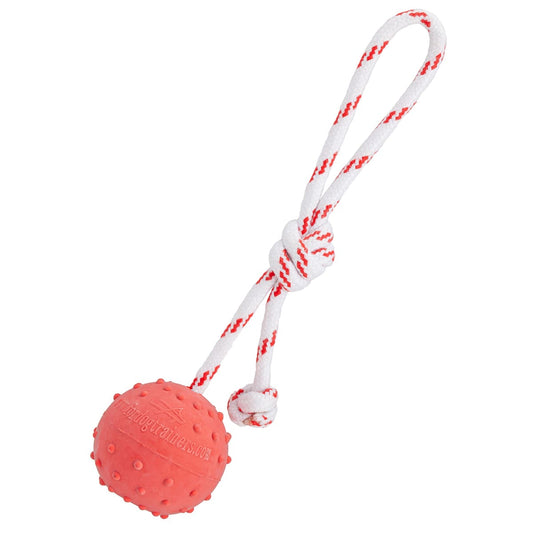 כדור מוצק מגומי צף במים - בינוני - FOR DOG TRAINERS- ISRAEL