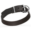 קולר לכלב מעור רך לשימוש יומיומי ברוחב 4 ס"מ - FOR DOG TRAINERS- ISRAEL