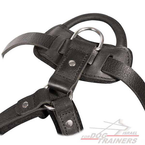 רתמת עור לכלב מתאימה לכלבים בינוניים / גדולים | לאימוני תקיפה ולטיולים - FOR DOG TRAINERS- ISRAEL